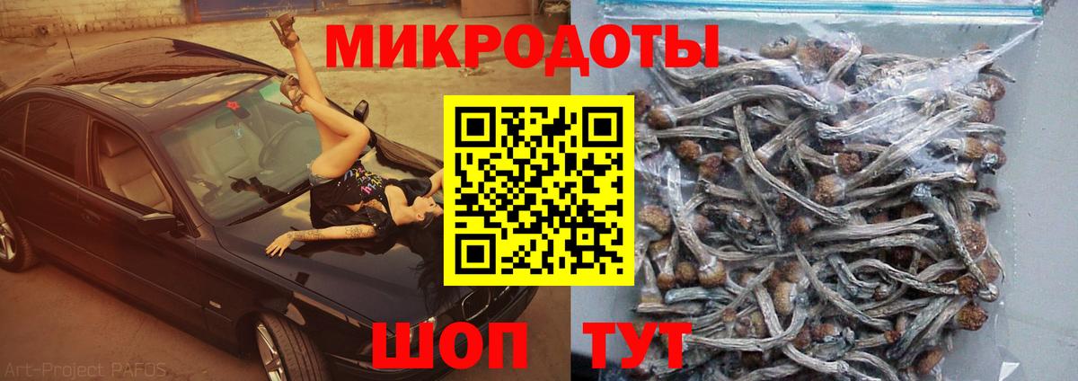Псилоцибиновые грибы Psilocybe  Вход с VPN  Мценск 